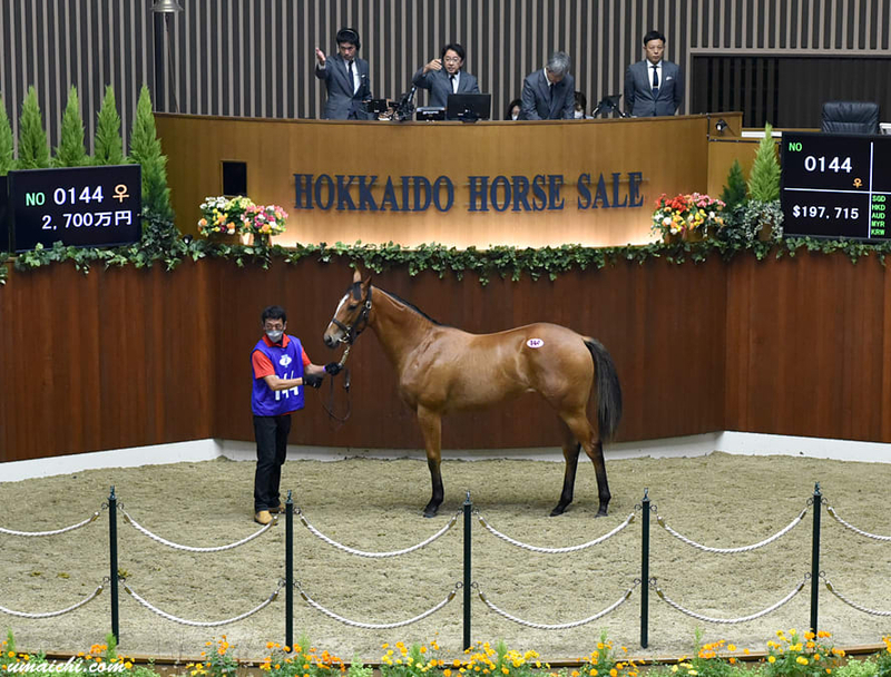 JRA競走に勝ったセール出身馬紹介(2026/6/13-14､ピューロマジックが