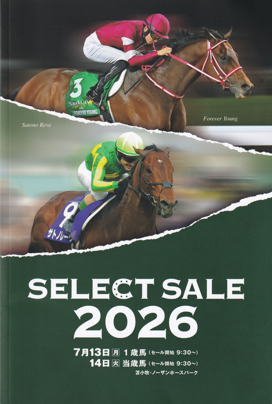 洋書 フランス語 馬 販売情報 Deauville 競馬 ドーヴィル 2002