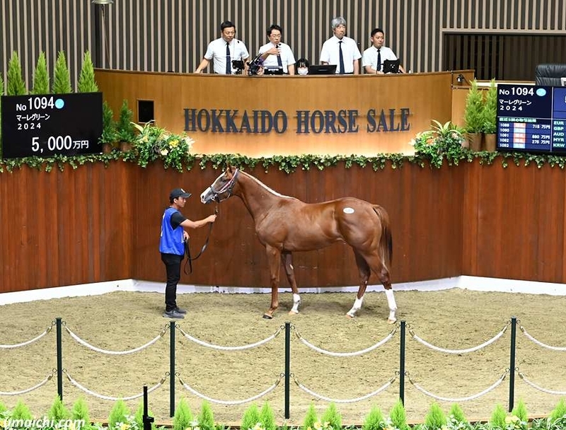 サマーセール2026(Summer Sale)】の「上場馬名簿」が発行 - 馬市ドット