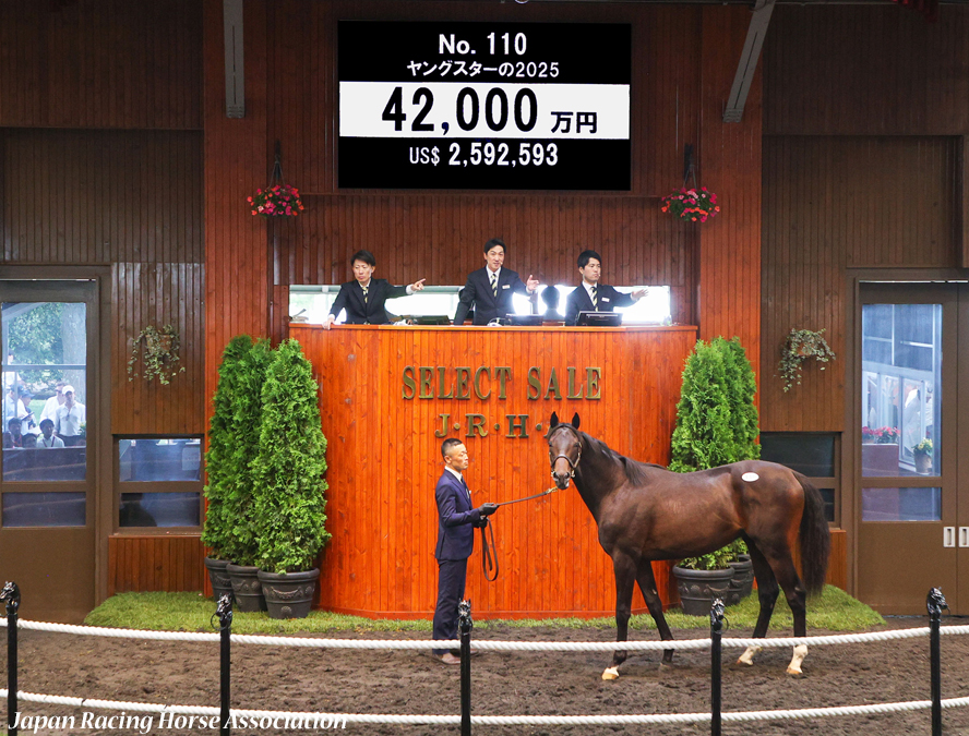セレクトセール2026(Select Sale､第1日目､1歳)】の結果概要(売却総額
