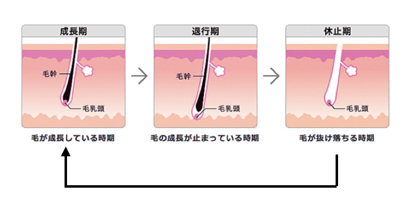 f:id:UMasaton:20200621223429p:plain f:id:UMasaton:20200621223429p:plain