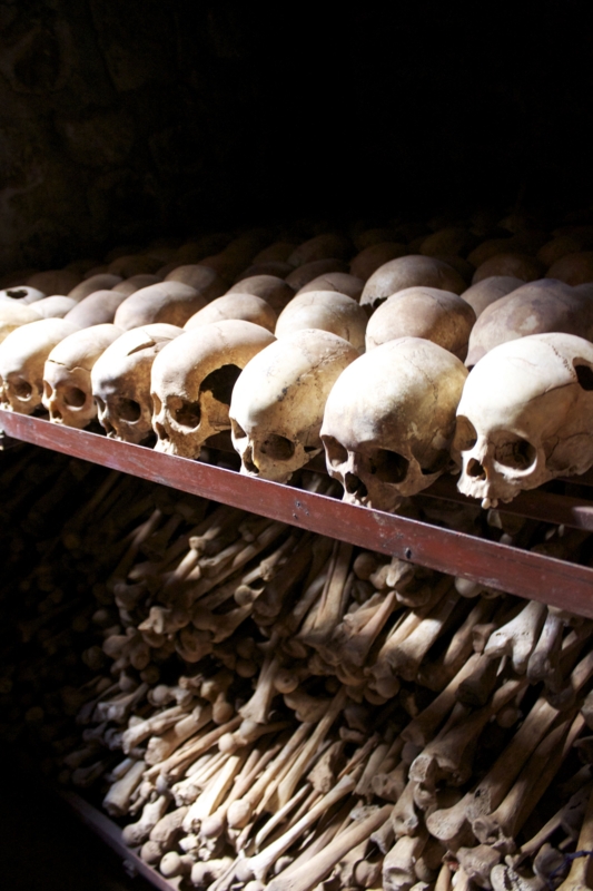 f:id:UN-Director:20120602053315j:image