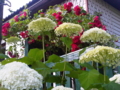 20120729184115