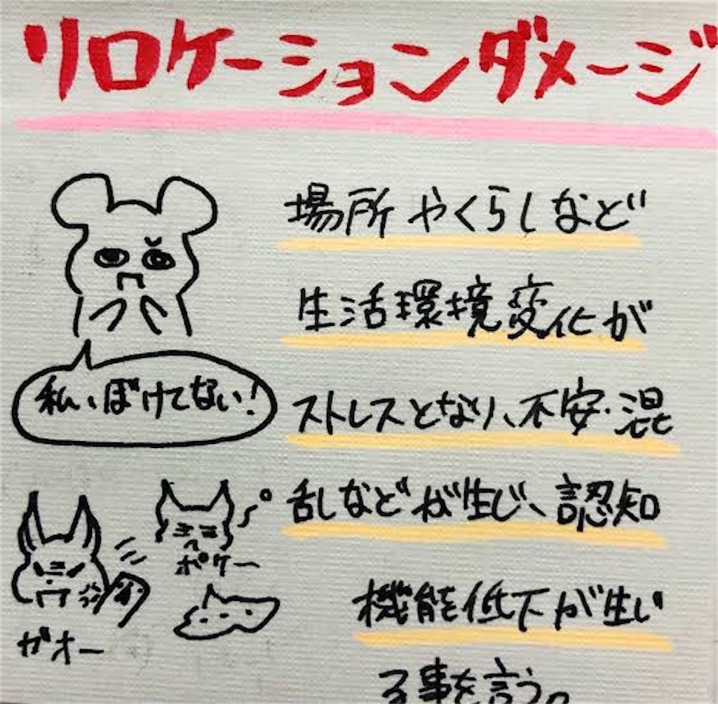 f:id:UN88:20210903214713j:image f:id:UN88:20210903214713j:image