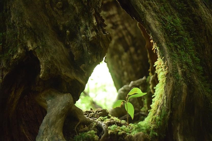 f:id:UNIC_Tokyo:20181023121244j:plain