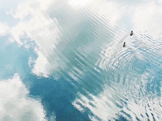 f:id:UNIC_Tokyo:20181023121259j:plain