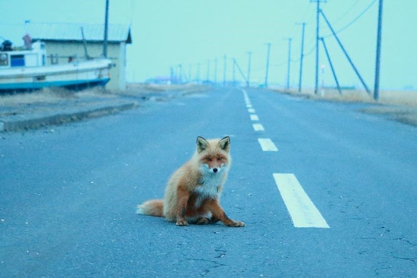 f:id:UNIC_Tokyo:20181023121320j:plain