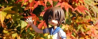 f:id:UNOYO:20091108232219p:image