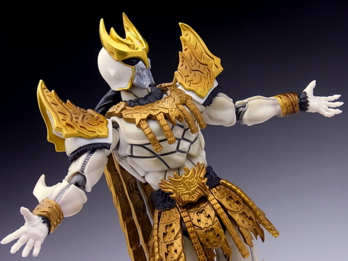 S.H.フィギュアーツ 仮面ライダークウガ ン・ダグバ・ゼバ レビュー - YOの玩具箱
