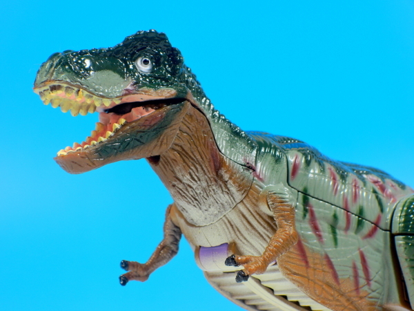 newage na恐竜まとめ ≪7月の新商品≫恐竜時代ネイチャー-NEW ITEM！｜アミューズ最新情報