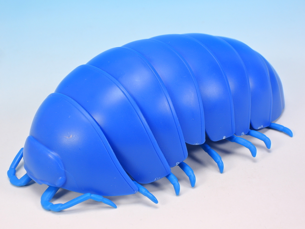 f:id:UNOYO:20200307152404j:plain f:id:UNOYO:20200307152404j:plain