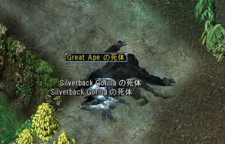 Great_ape1_2
