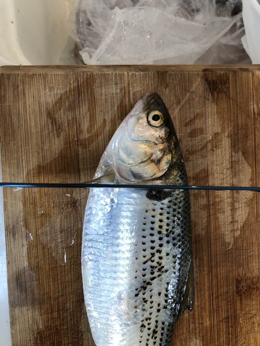 1匹100円 の魚で唐揚げ マルチタスクな中学生の料理ブログ