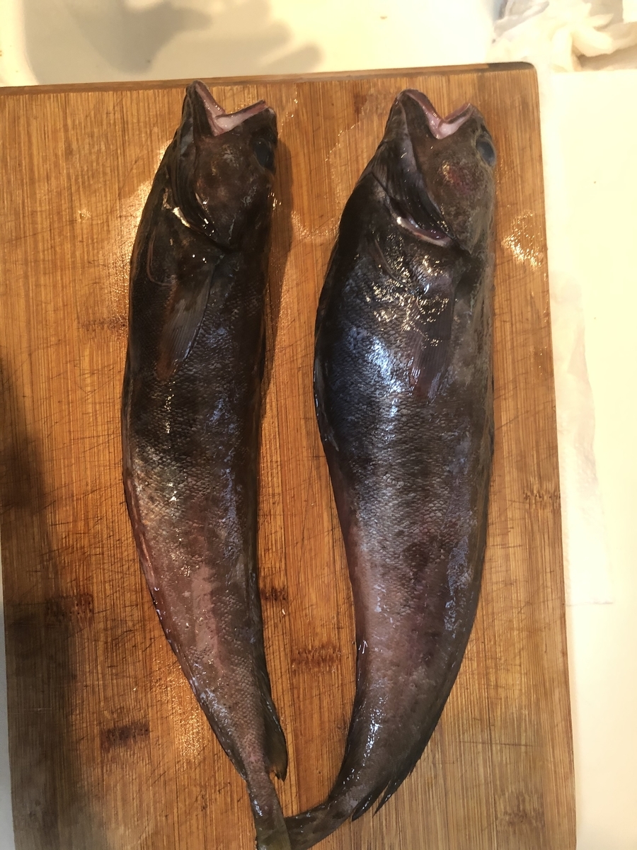 見た目はナマズ な魚で味噌汁 マルチタスクな中学生の料理ブログ 見た目はナマズ な魚で味噌汁 マルチタスクな中学生の料理ブログ