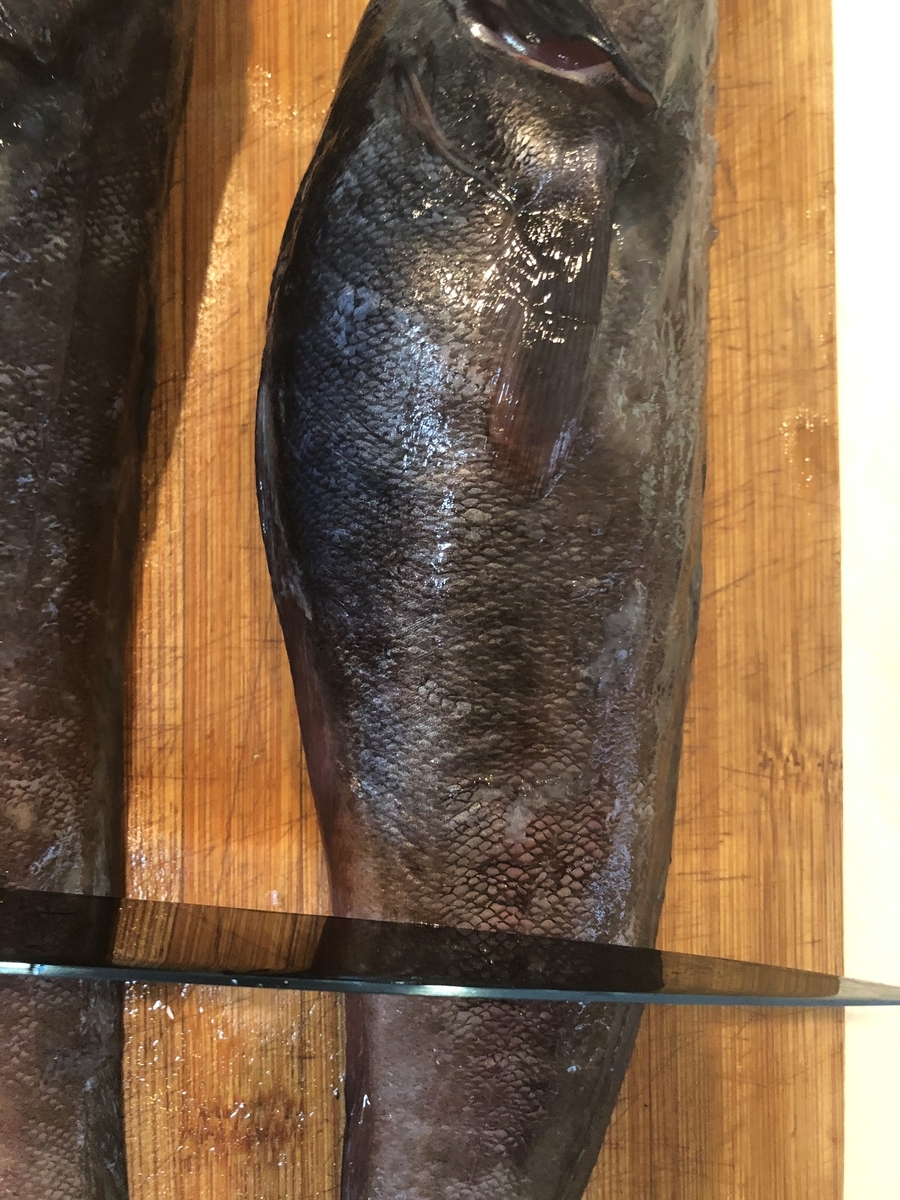 見た目はナマズ な魚で味噌汁 マルチタスクな中学生の料理ブログ 見た目はナマズ な魚で味噌汁 マルチタスクな中学生の料理ブログ