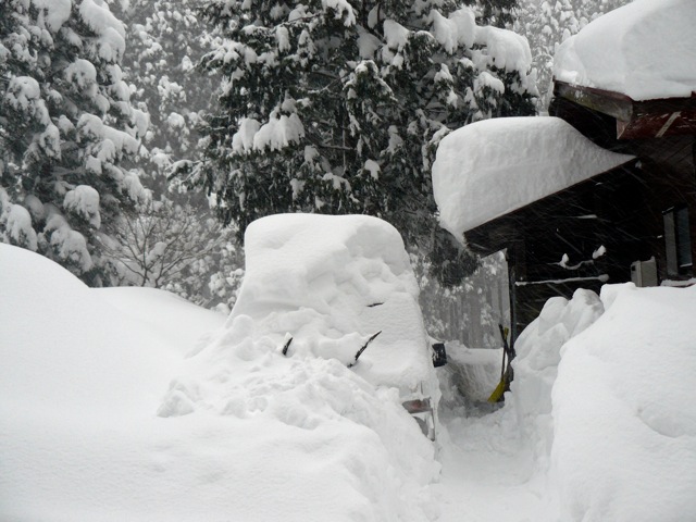 f:id:URURUNDO:20170124232115j:plain f:id:URURUNDO:20170124232115j:plain