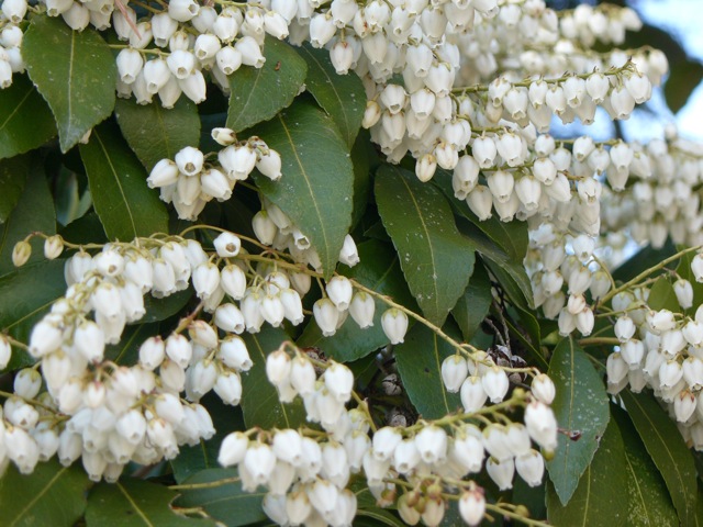 f:id:URURUNDO:20170405223409j:plain f:id:URURUNDO:20170405223409j:plain