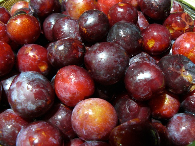 f:id:URURUNDO:20180901001007j:plain f:id:URURUNDO:20180901001007j:plain