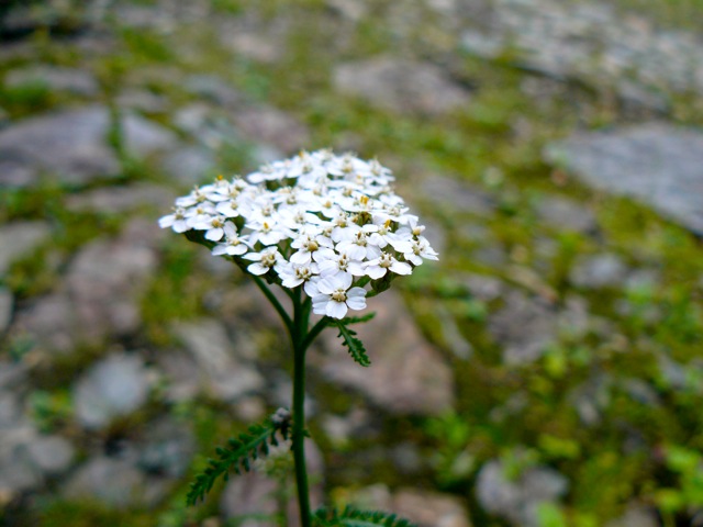 f:id:URURUNDO:20190616004119j:plain f:id:URURUNDO:20190616004119j:plain