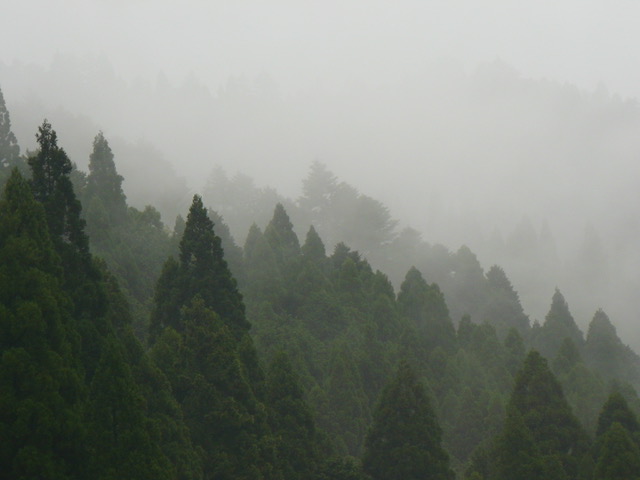 f:id:URURUNDO:20190824011945j:plain f:id:URURUNDO:20190824011945j:plain