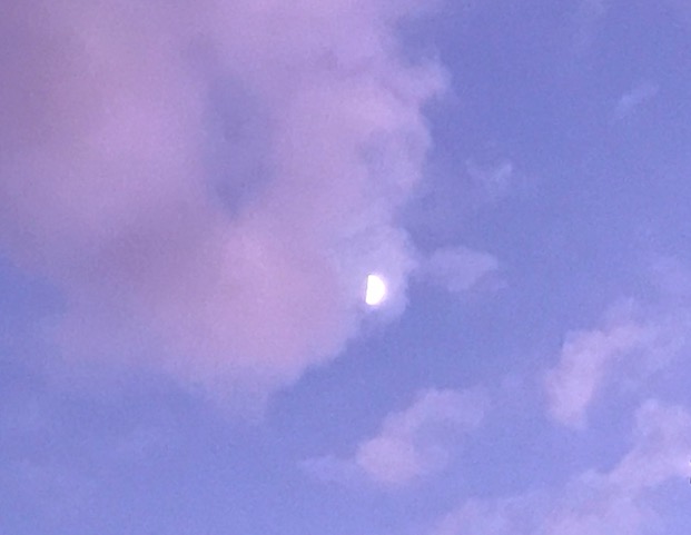 f:id:URURUNDO:20191105012804j:plain f:id:URURUNDO:20191105012804j:plain