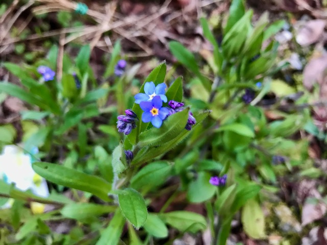 f:id:URURUNDO:20200417004146j:plain f:id:URURUNDO:20200417004146j:plain