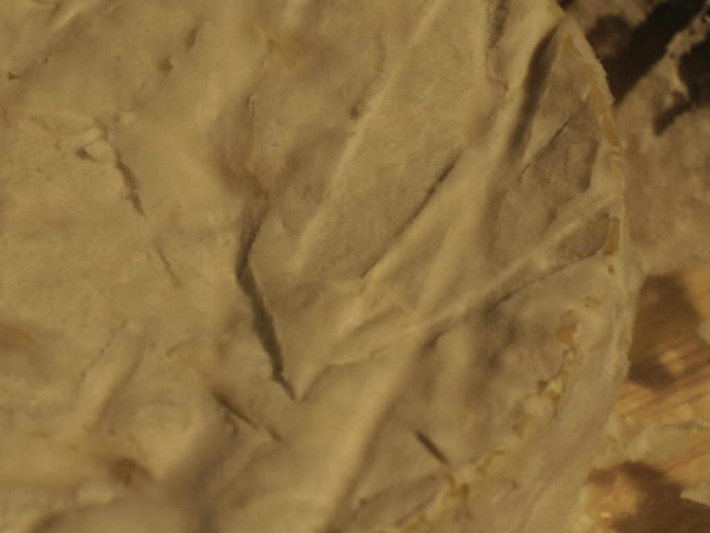 f:id:USAGI-WRP:20170822153205j:plain