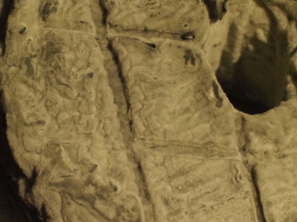 f:id:USAGI-WRP:20170921191853j:plain