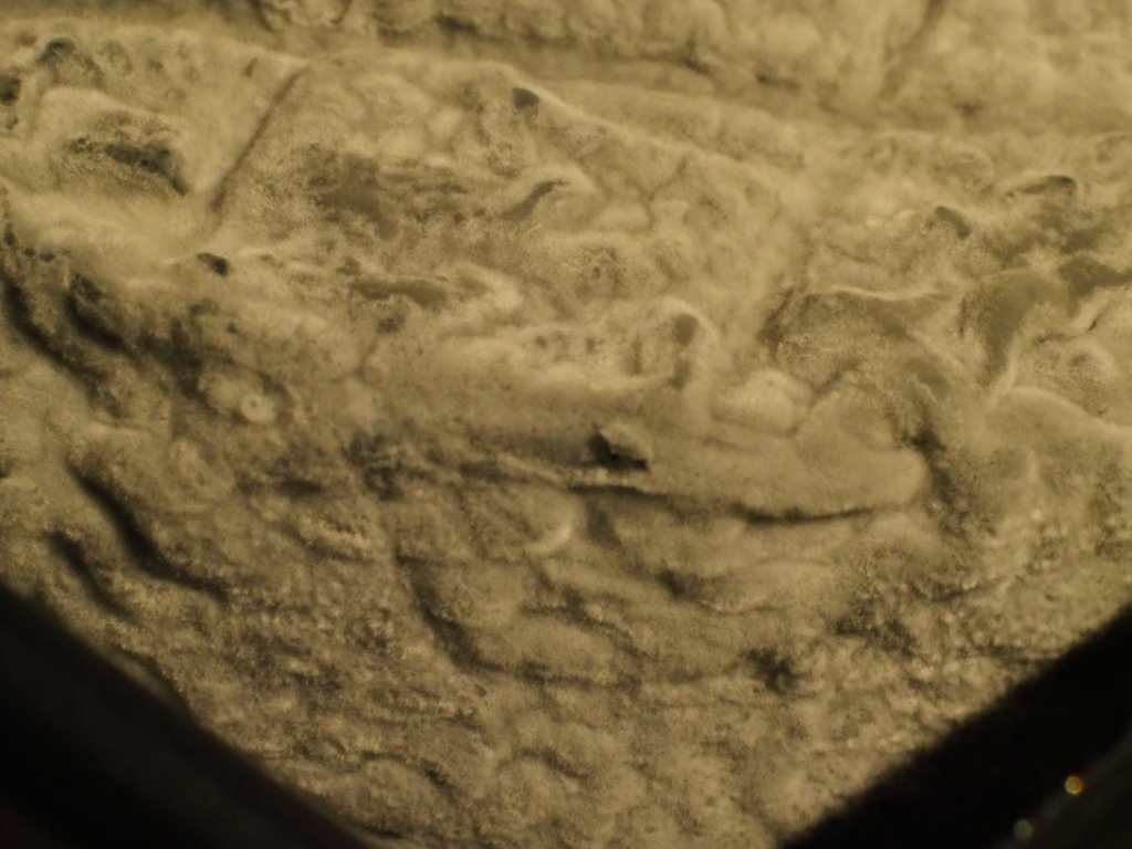 f:id:USAGI-WRP:20170921191903j:plain