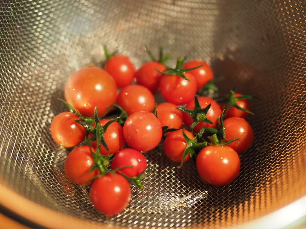 f:id:USAGI-WRP:20171004023858j:plain