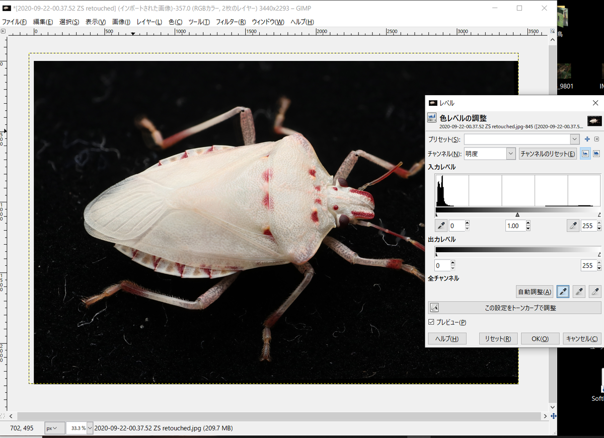 f:id:UZUMUSHI:20200922210917p:plain f:id:UZUMUSHI:20200922210917p:plain