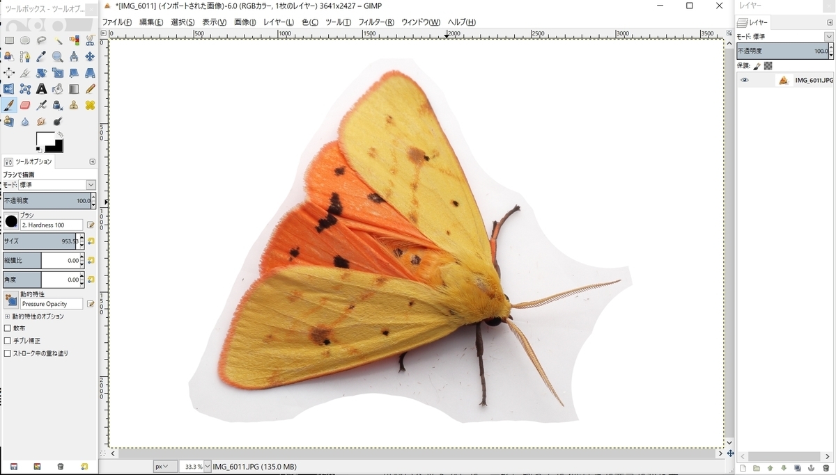 f:id:UZUMUSHI:20211023030213j:plain