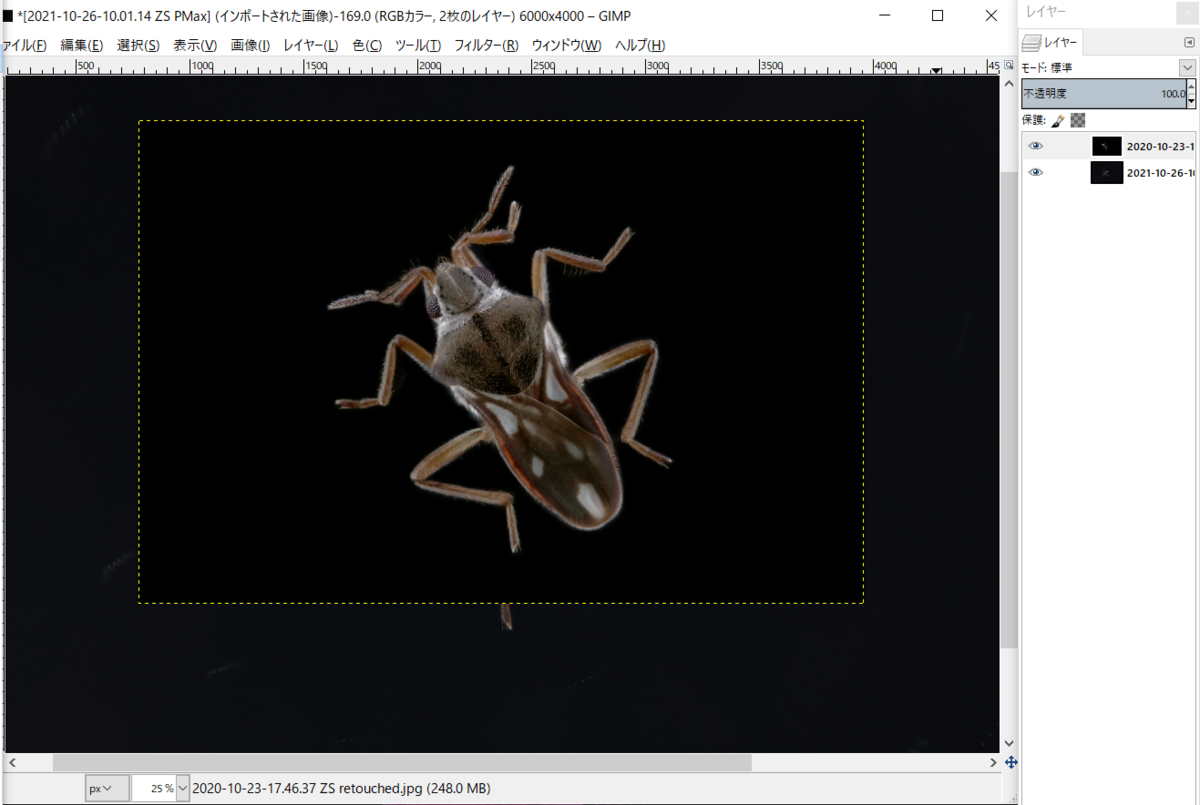 f:id:UZUMUSHI:20211027114739p:plain
