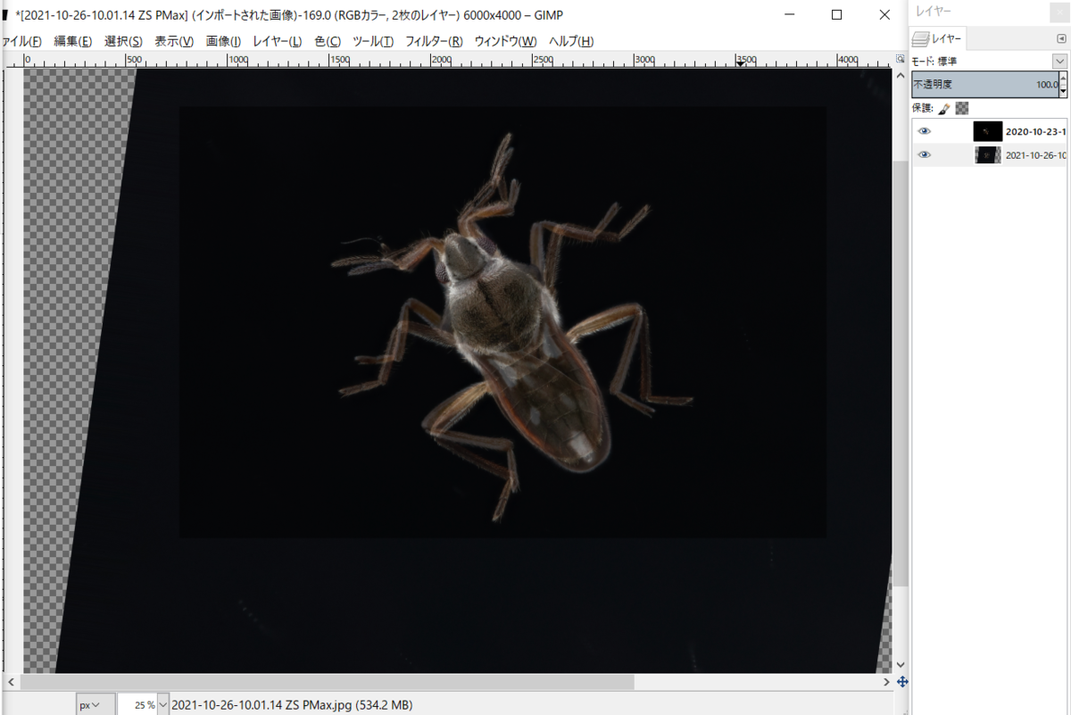 f:id:UZUMUSHI:20211027115018p:plain