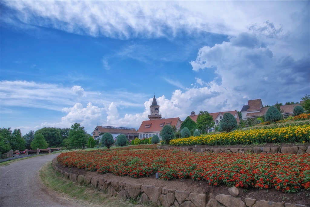f:id:U_P:20190621160912j:image f:id:U_P:20190621160912j:image