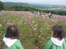 f:id:U_S_K:20091011140429j:image:right