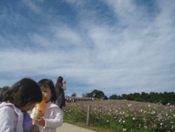 f:id:U_S_K:20091011142627j:image:right