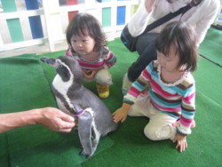 f:id:U_S_K:20091025104932j:image:right