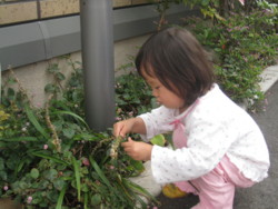 f:id:U_S_K:20091027103229j:image:right