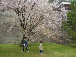 f:id:U_S_K:20150327094550j:image:right