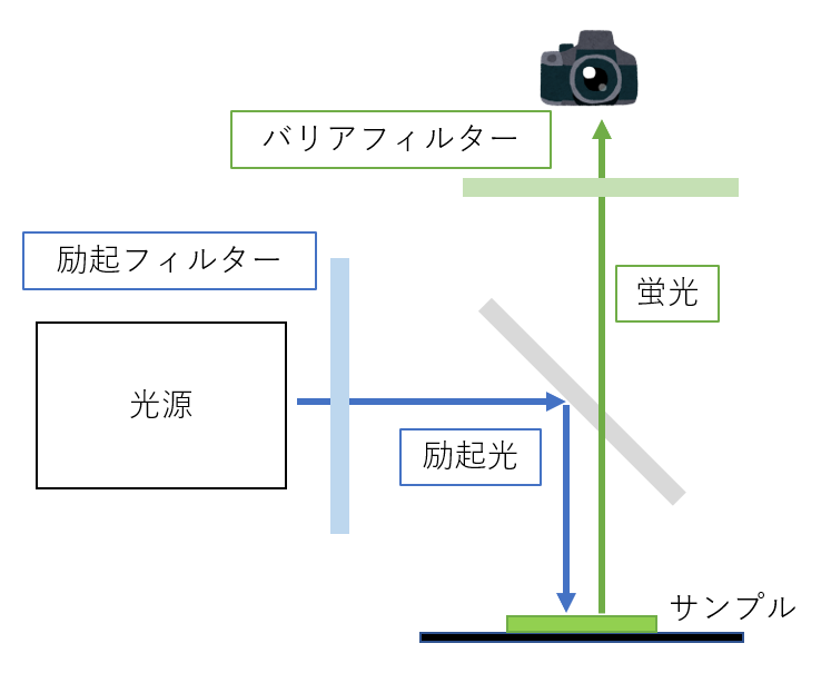 f:id:Uchi_P:20210829005840p:plain