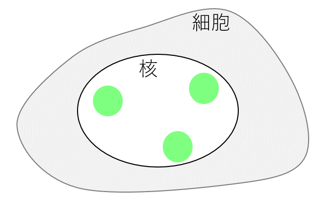 f:id:Uchi_P:20211024202908p:plain
