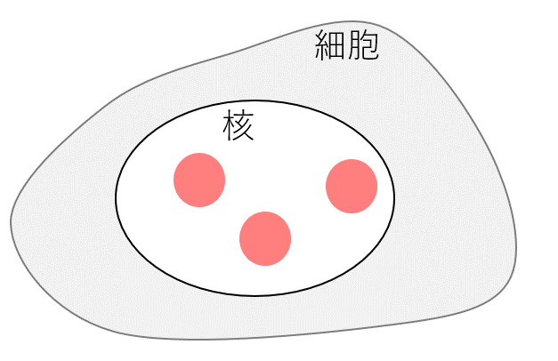 f:id:Uchi_P:20211024202927p:plain