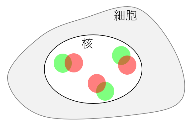 f:id:Uchi_P:20211024202947p:plain