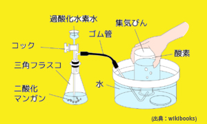 f:id:Uchu-Channel:20180730092821j:plain f:id:Uchu-Channel:20180730092821j:plain