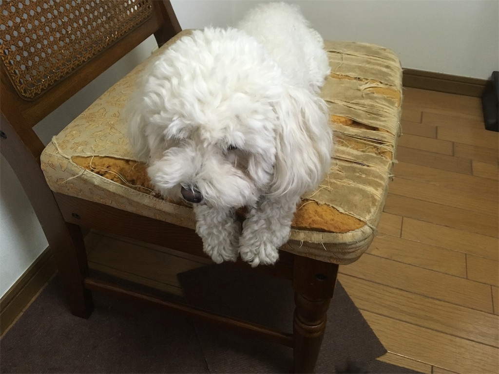 f:id:Ueki_Naoko:20191009133435j:image f:id:Ueki_Naoko:20191009133435j:image