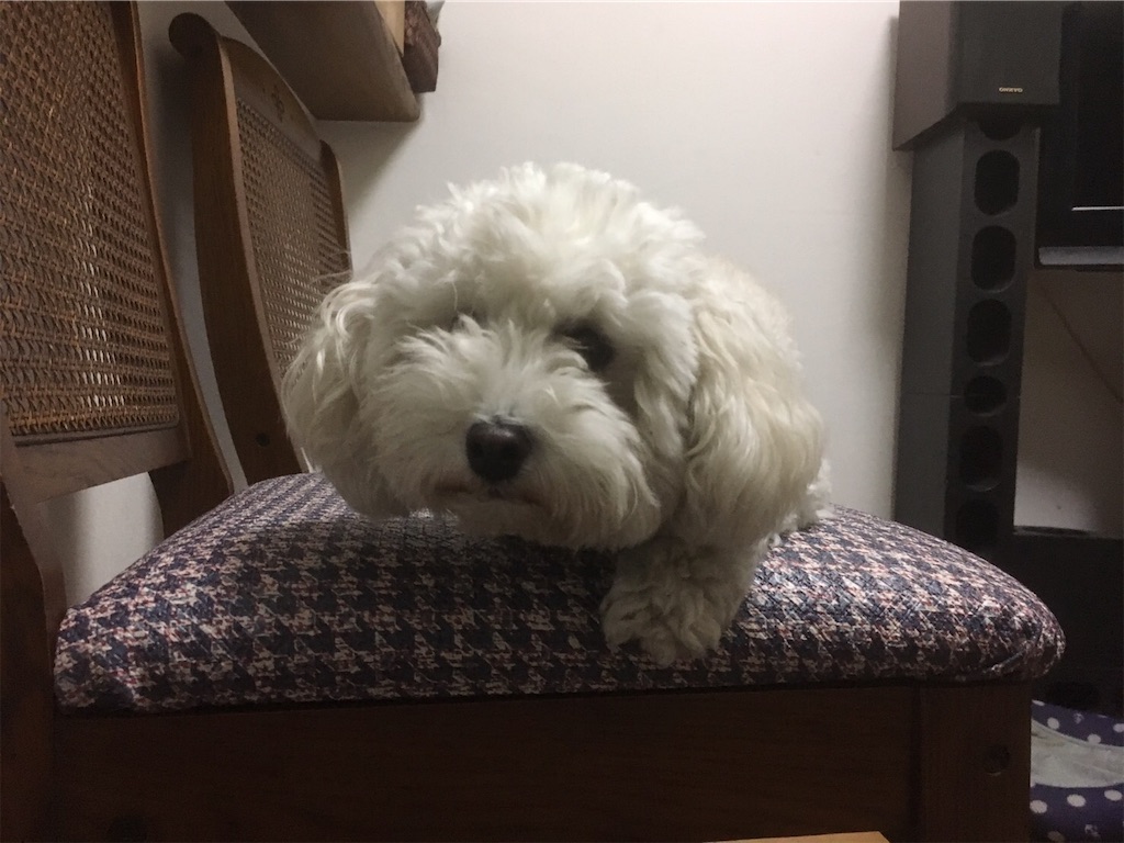 f:id:Ueki_Naoko:20191009140804j:image f:id:Ueki_Naoko:20191009140804j:image