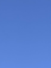 f:id:UiMint:20211006021809j:plain