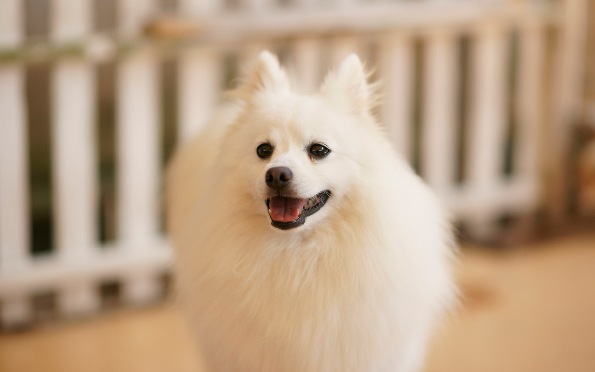 f:id:Umauma:20191108220155j:plain f:id:Umauma:20191108220155j:plain