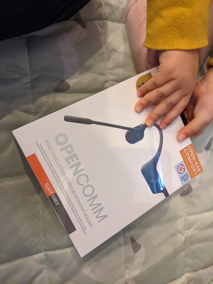 f:id:Umbellata:20211228001617j:plain